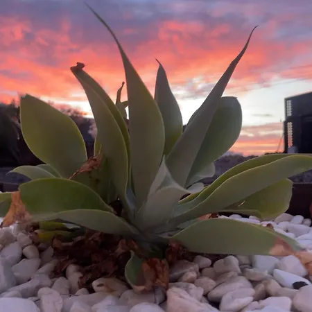 Turquesa 1 E Turquesa 2 Fuerteventura Semesterbostad La Oliva