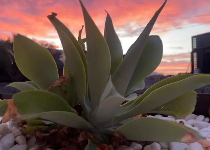 Turquesa 1 E Turquesa 2 Fuerteventura Casa de Férias La Oliva